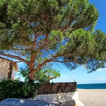 Lägenhet 2 Pieces Moderne Pour 4 Pers Avec Terrasse Proche Et Commerces A - Fr-1-776-43 Argelès-sur-Mer