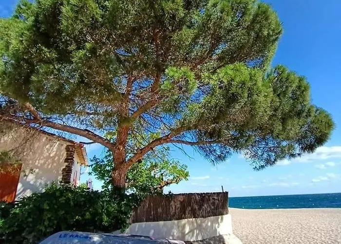 Lejlighed 2 Pieces Moderne Pour 4 Pers Avec Terrasse Proche Et Commerces A - Fr-1-776-43 Argelès-sur-Mer